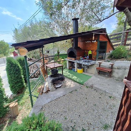 Nucşoara Casa Dianaヴィラ エクステリア 写真