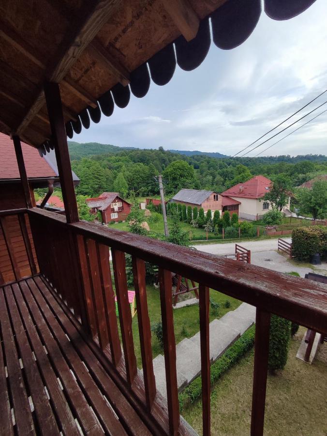 Nucşoara Casa Dianaヴィラ エクステリア 写真