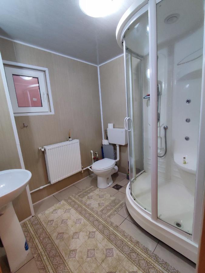 Nucşoara Casa Dianaヴィラ エクステリア 写真
