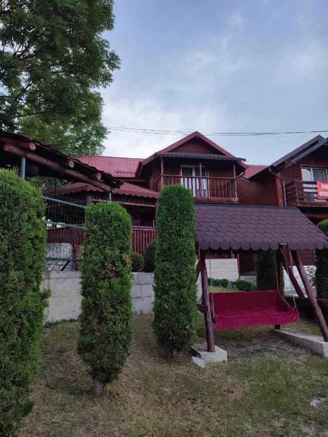 Nucşoara Casa Dianaヴィラ エクステリア 写真