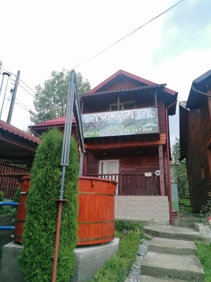 Nucşoara Casa Dianaヴィラ エクステリア 写真