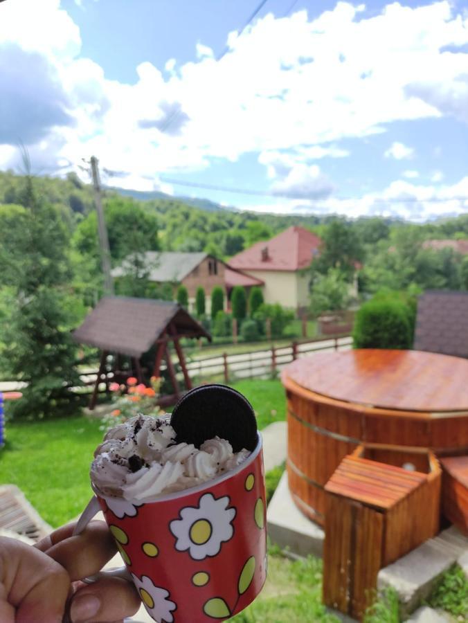 Nucşoara Casa Dianaヴィラ エクステリア 写真