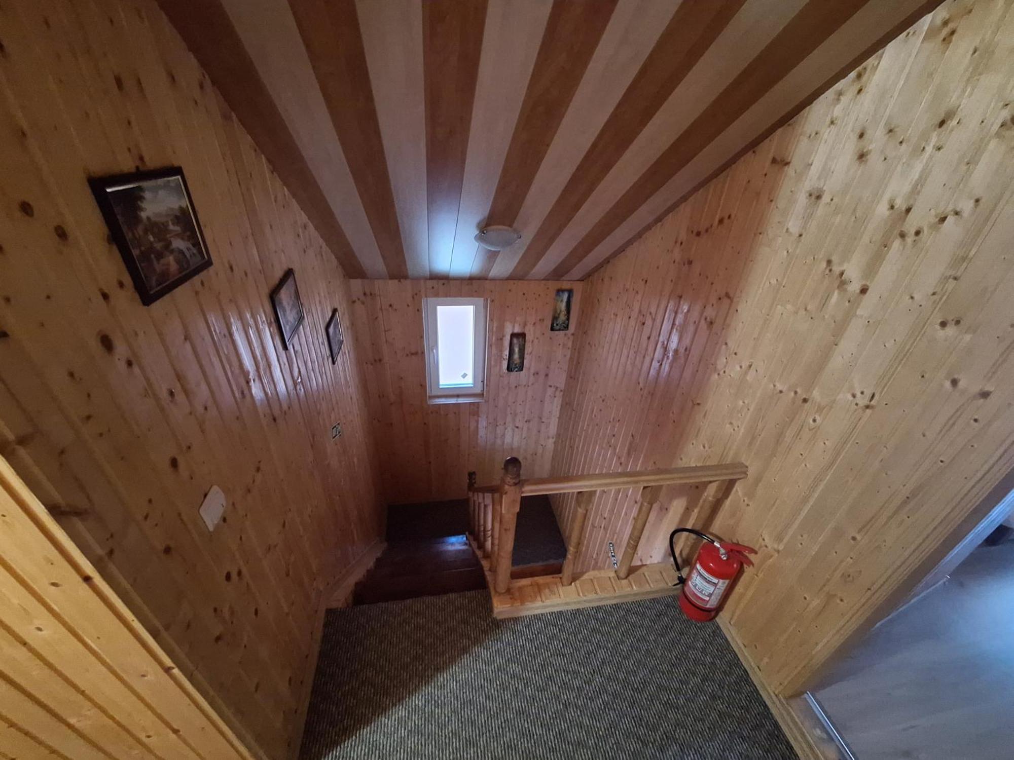 Nucşoara Casa Dianaヴィラ エクステリア 写真