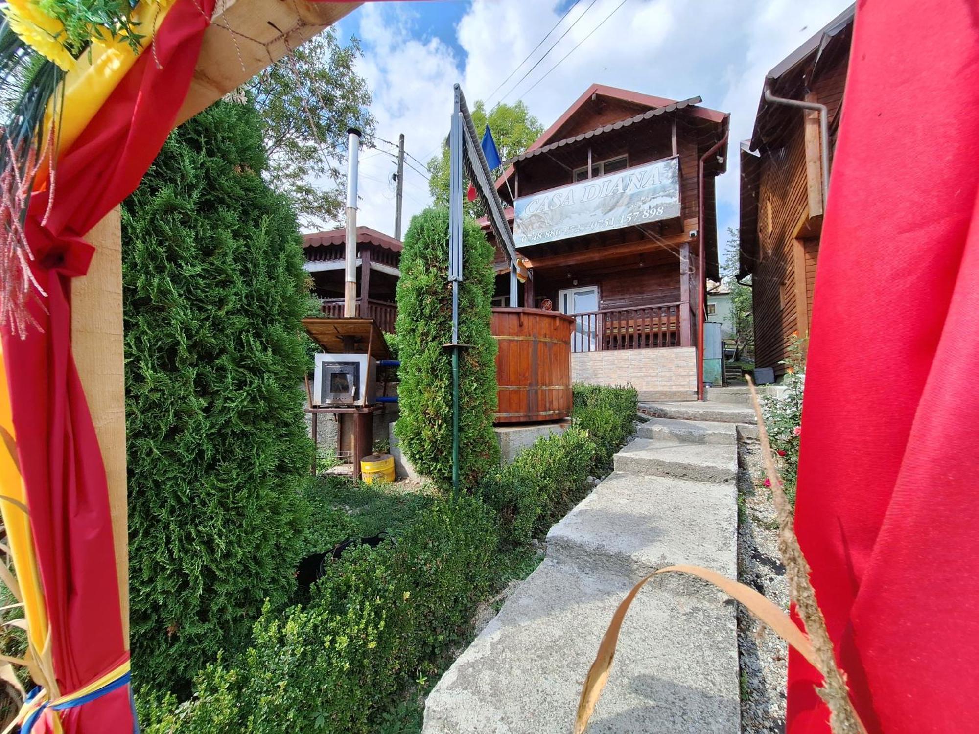 Nucşoara Casa Dianaヴィラ エクステリア 写真